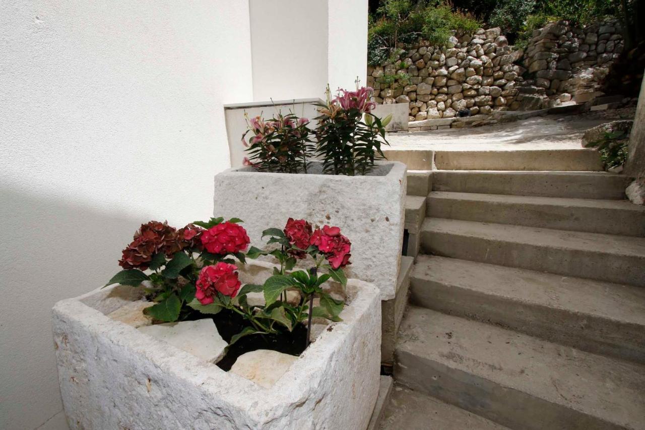 דרזניצה Apartmani Rustica מראה חיצוני תמונה